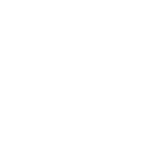 Phone Logo