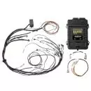 HALTECH Elite 1000 + Mazda RX7 FC3S CAS m. Flying Lead Ignition Terminated Kabelbaum Kit