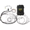 HALTECH Elite 1500 + Mazda RX7 FC3S CAS w. IGN-1A Ignition Terminated Harness Kit